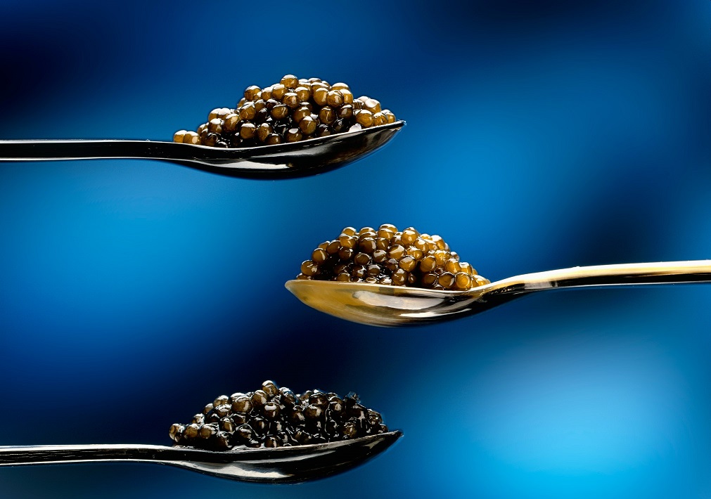 Quels types de caviar noir existe-t-il ?