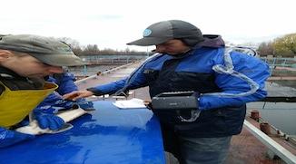 Évaluation de fin d’automne